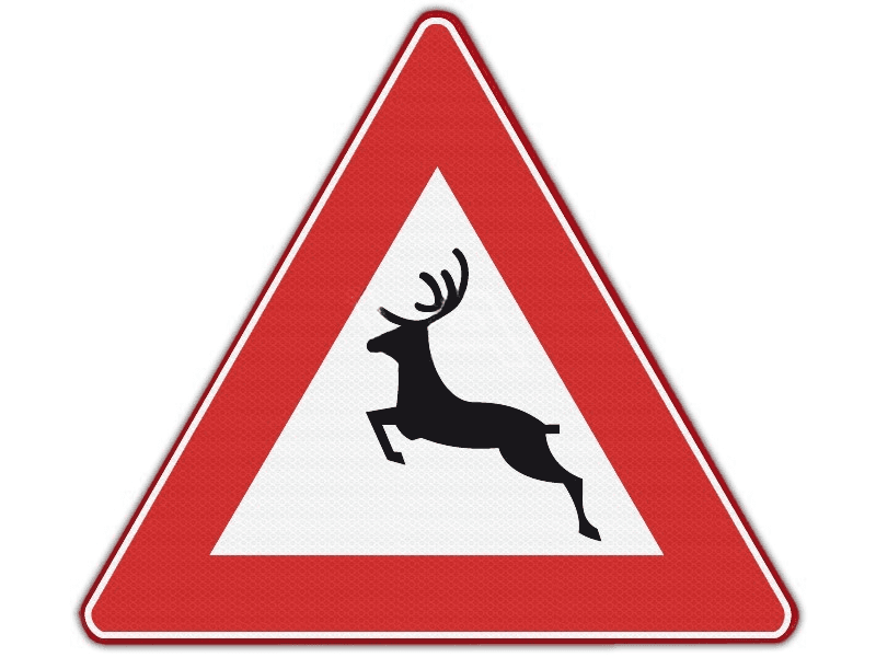 Verkeersbord RVV J27 - Groot wild