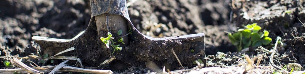 Close-up van een schop die in de aarde steekt, met zicht op losse grond, plantenresten en kleine groene scheuten.