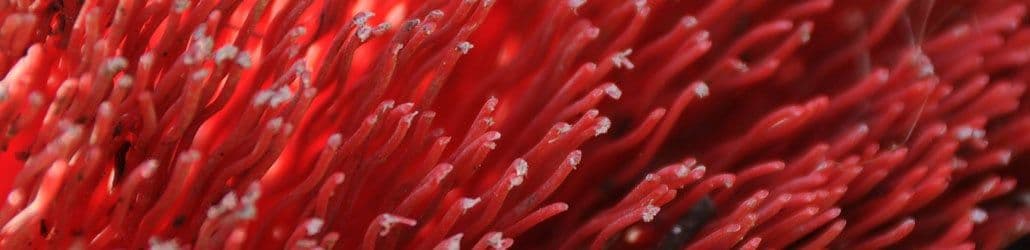 Close-up van een bezem pvc
